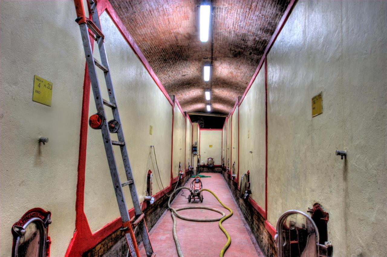 Giaggiolo Apartment Poggibonsi Bagian luar foto